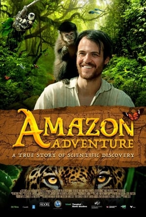Amazon Adventure 2017 Hindi Dubbed 480p HDRip 400MB Amazon Adventure 2017 Hindi Dubbed 480p HDRip 400MB