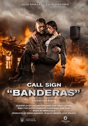 Call Sign Banderas (2018) Hindi Dual Audio HDRip 720p – 480p Call Sign Banderas (2018) Hindi Dual Audio HDRip 720p – 480p