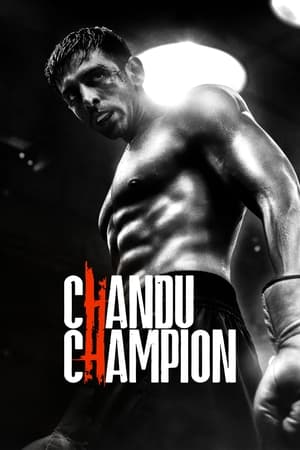 Chandu Champion 2024 Hindi HDRip 720p – 480p – 1080p Chandu Champion 2024 Hindi HDRip 720p – 480p – 1080p