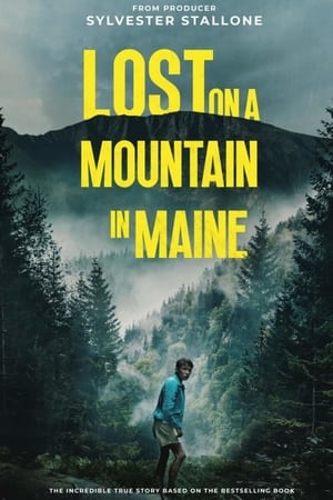 Lost on a Mountain in Maine 2024 Hindi Dubbed CAMRip 1080p Lost on a Mountain in Maine 2024 Hindi Dubbed CAMRip 1080p