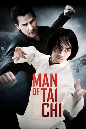 Man of Tai Chi (2013) Hindi Dual Audio HDRip 720p – 480p Man of Tai Chi (2013) Hindi Dual Audio HDRip 720p – 480p