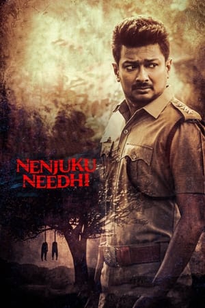 Nenjuku Needhi 2022 Hindi (HQ-Dub) HDRip 720p – 480p Nenjuku Needhi 2022 Hindi (HQ-Dub) HDRip 720p – 480p
