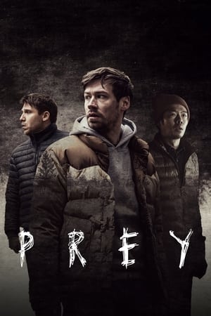Prey (2021) (ENGLISH) HDRip – 480p – 720p Prey (2021) (ENGLISH) HDRip – 480p – 720p