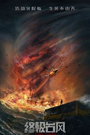 Super Typhoon 2020 Hindi Dual Audio HDRip 720p – 480p Super Typhoon 2020 Hindi Dual Audio HDRip 720p – 480p