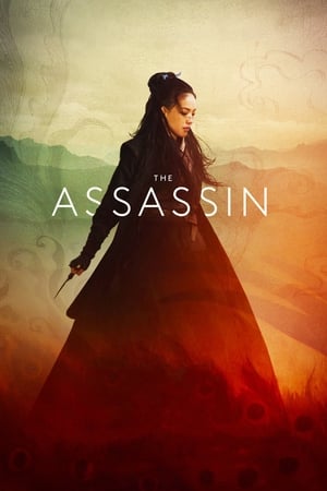 The Assassin 2015 Hindi Dual Audio 480p BluRay 300MB The Assassin 2015 Hindi Dual Audio 480p BluRay 300MB