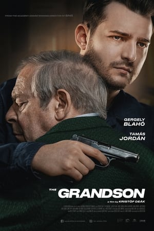 The Grandson 2022 Hindi Dual Audio HDRip 720p – 480p The Grandson 2022 Hindi Dual Audio HDRip 720p – 480p
