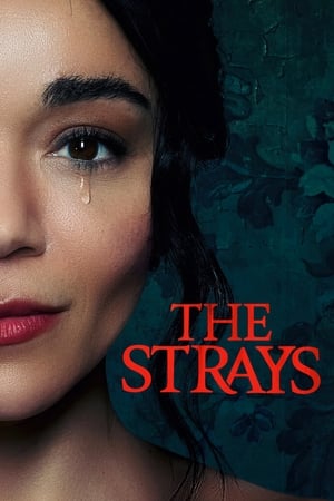 The Strays 2023 Hindi Dual Audio HDRip 720p – 480p The Strays 2023 Hindi Dual Audio HDRip 720p – 480p